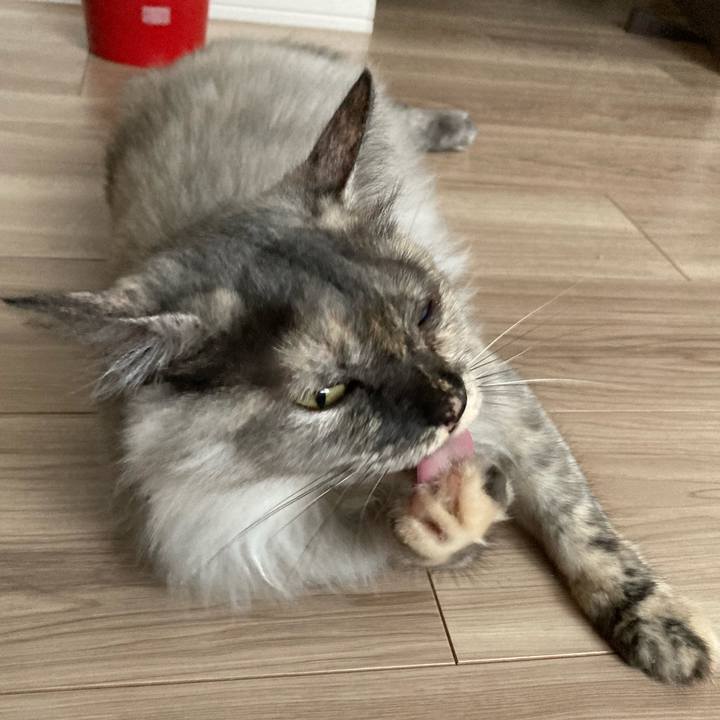 A0041bdf cd36 486b aee1 eb5afb3ecea1 1728098890510