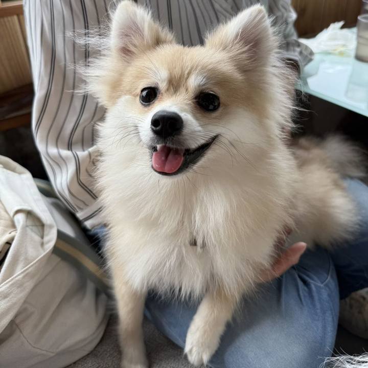 A00422f3 bfa7 47df af4a ef68749da783 1759271862138