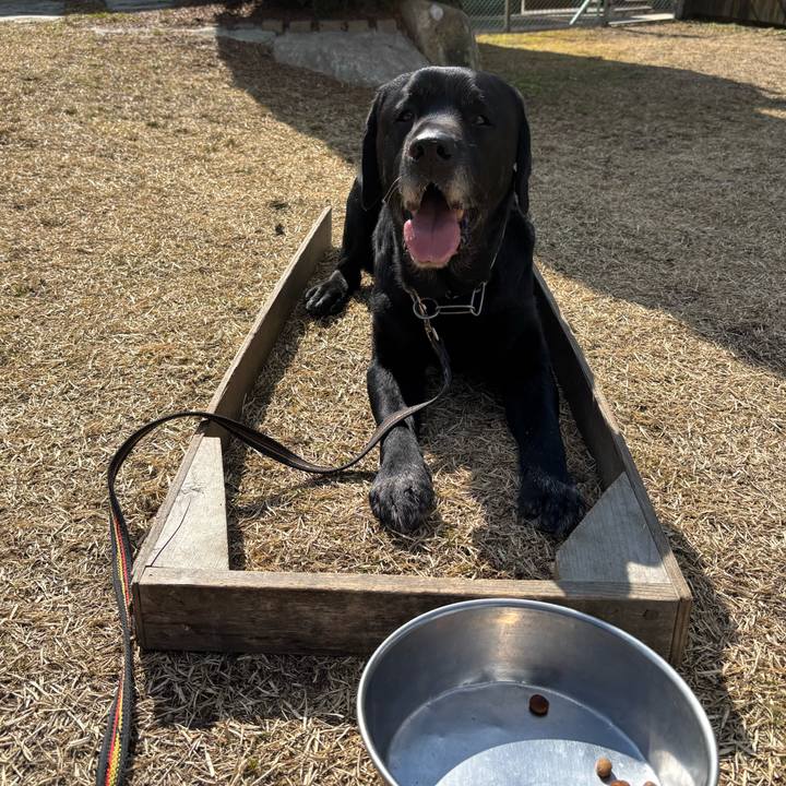 A00427da ab60 47c6 92c4 d45319856cdc 1771756653581