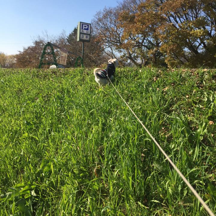 A0045c21 d14f 481a 8beb f3b3f85a6c57 1513169750731