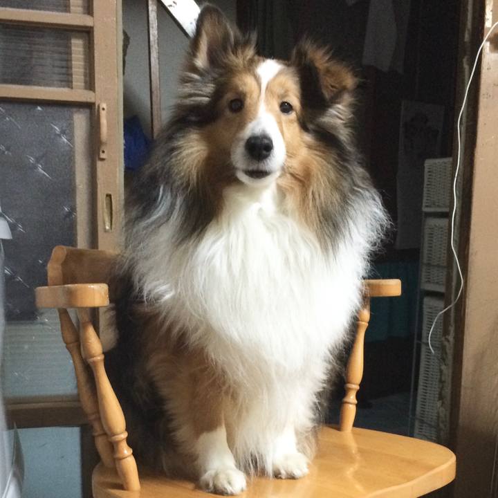 A0047cba 93a2 46e2 afbc ce729926576f 1599308618653