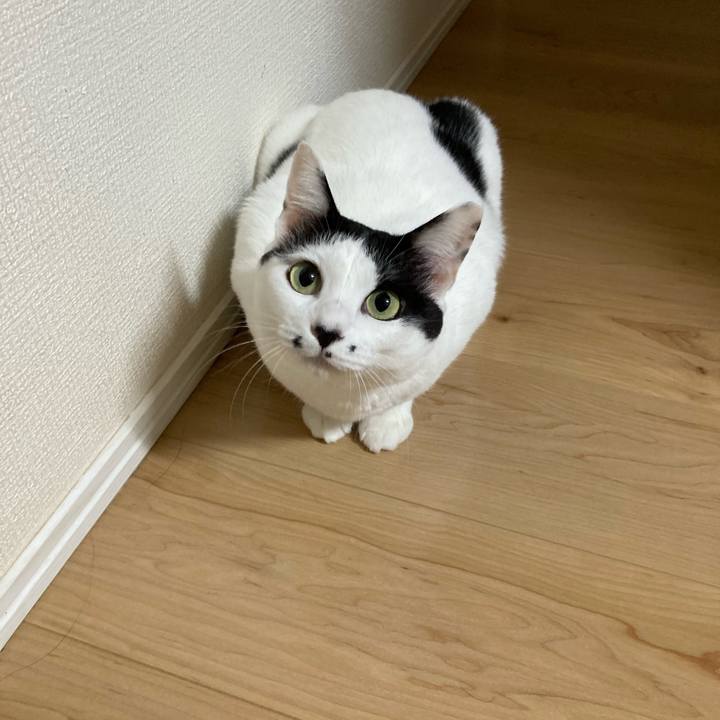 A004c79a 8c80 4699 92e6 75f57f0e203b 1759350938592