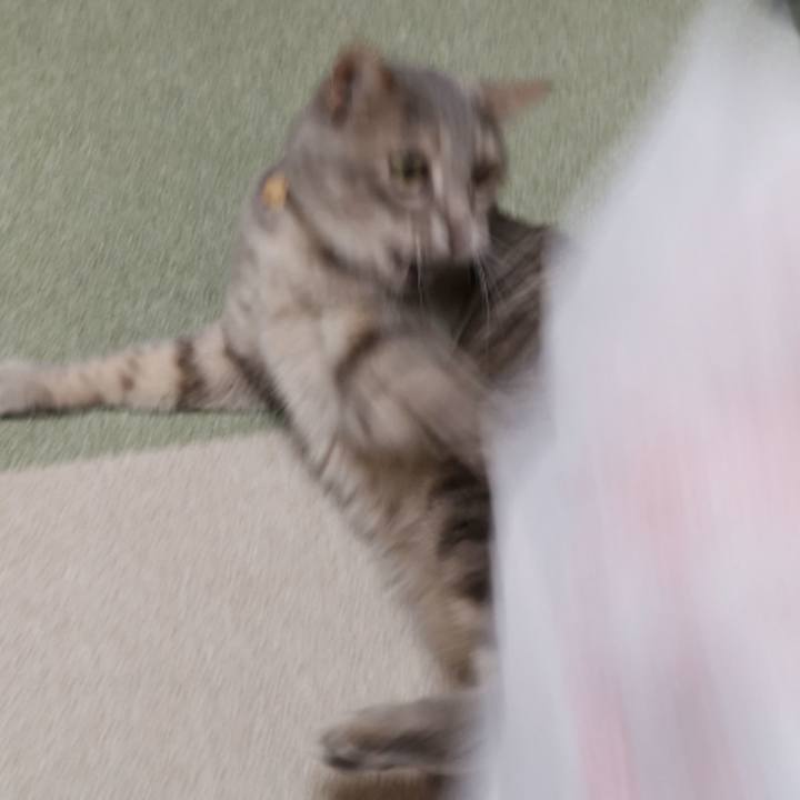 A004f88e 2827 41da 89fa bbede5be96b6 1590119667901