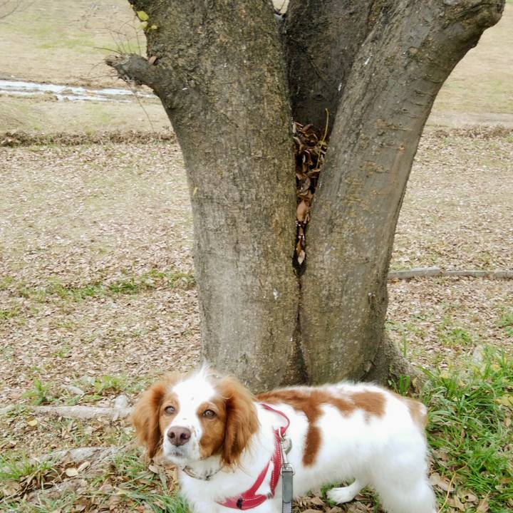 A0052288 b67b 4737 9a49 961edae1d46b 1545380523785