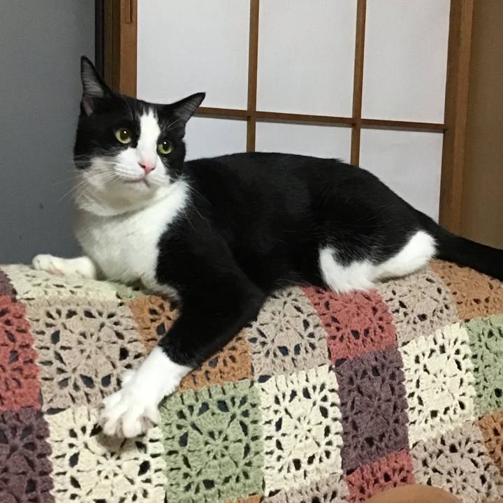 A0053d07 50de 4a20 9609 eab4c1a59009 1722771522779