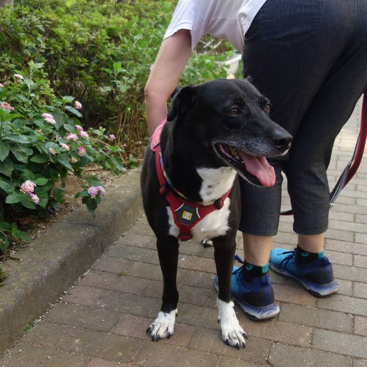 A0055176 1cab 4994 843a 9849b2055c81 1695946468452