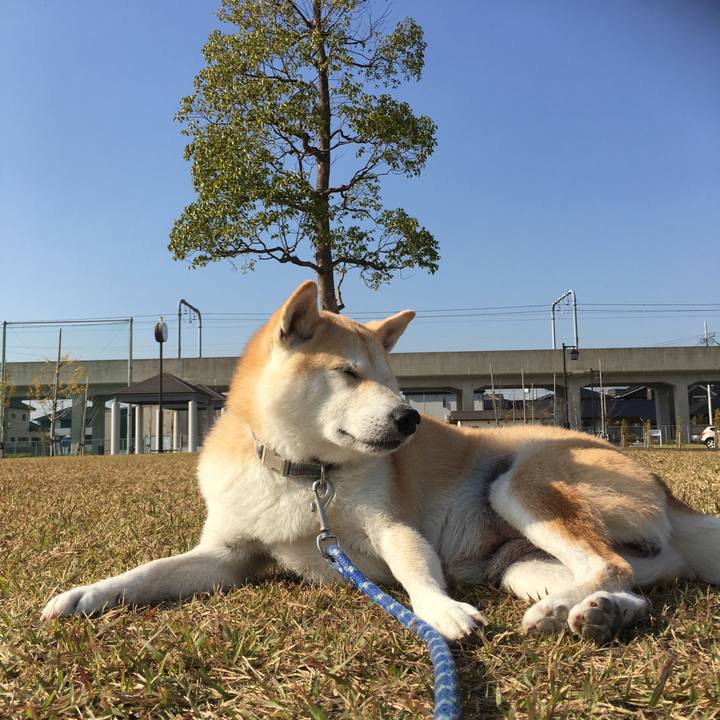 A005933d 98e2 4ad3 bb5c 19bf3d88eb2e 1520610540154