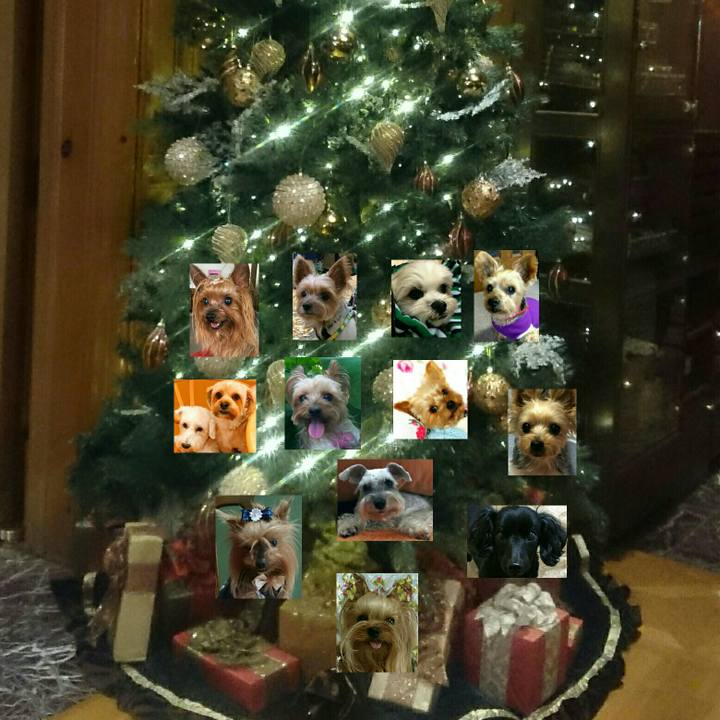 A005c914 dd53 41ee b62d 38729e6b2326 1512998643700