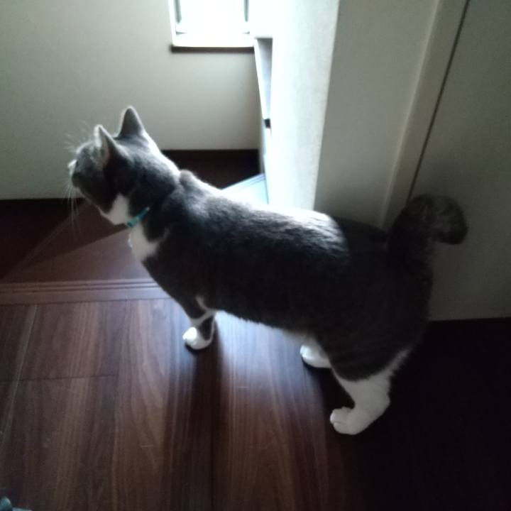 A005ef02 73e9 4edf a5a9 39ada2551ed9 1632433177076