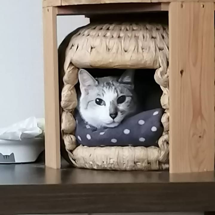 A005f220 7089 4601 9526 8bd62cb82ed6 1588504561972