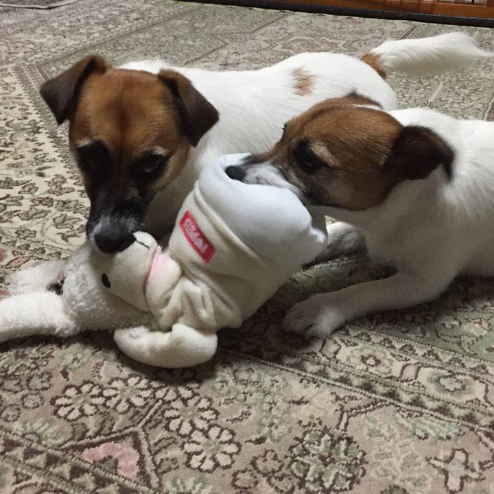 A005fee8 8c6b 4342 a784 74062329372b 1530791588011