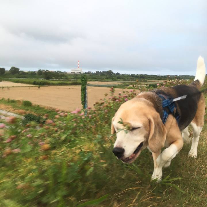 A00604d3 5c21 4ac2 a429 7cdebb3fbcd3 1533037895386