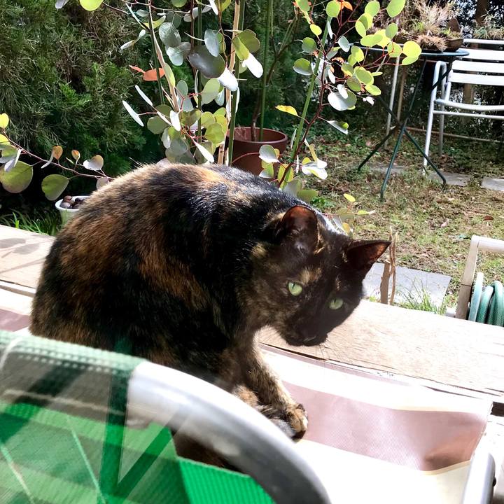 A0061307 de1c 40cf a41d 43480986117d 1517794853725