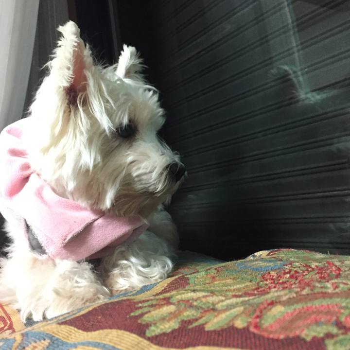 A0062624 9e6a 4438 a287 54e10fa01c09 1509602047655