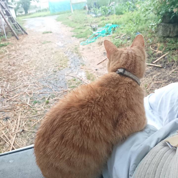 A0062be8 9c5c 4158 8de5 6899ffc94ce8 1593115867425