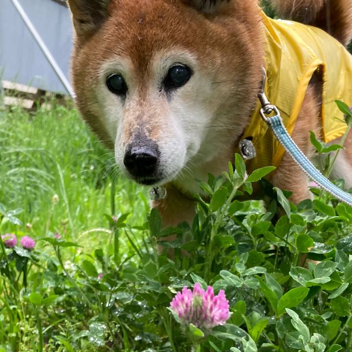 A00666a3 63f3 4bc4 a738 7f71b6afe36f 1746188601443