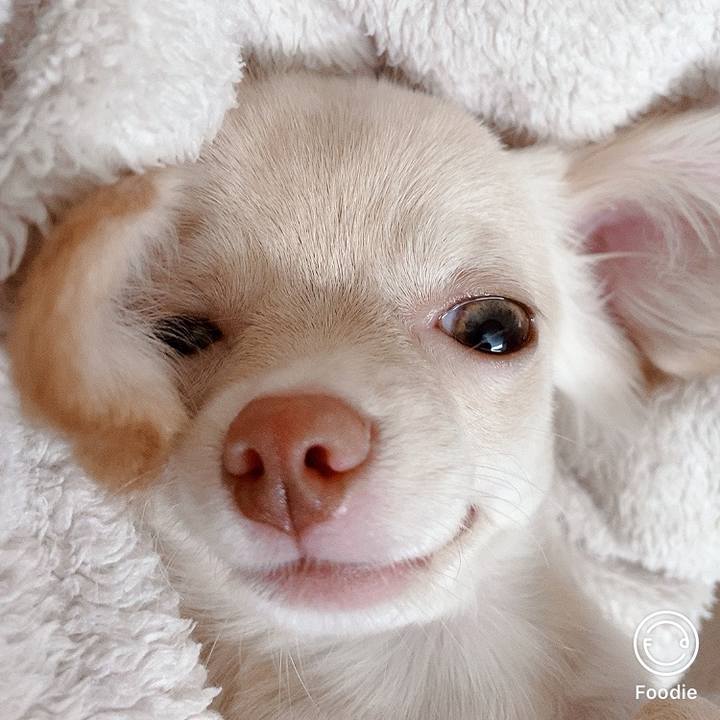 A006787f 48b8 4a40 86e5 c066d7025486 1594433291483