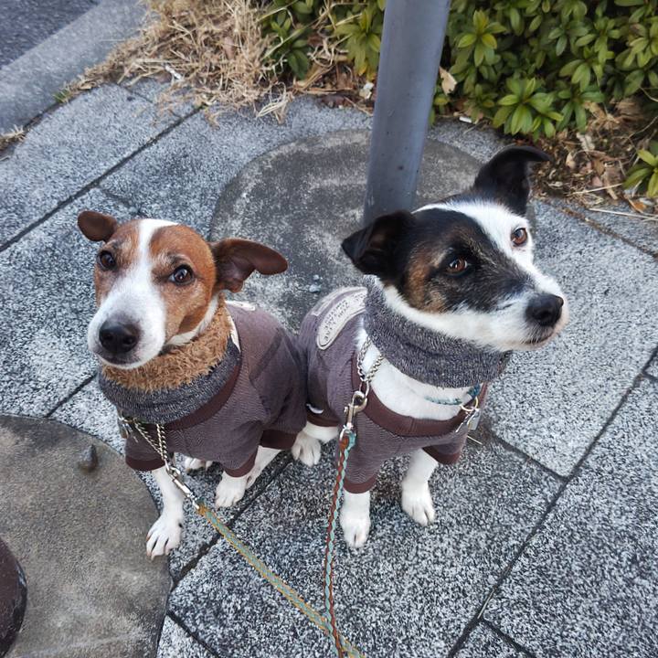 A0067e7c 975e 4bb9 a00b fac2e22b0441 1740434679179