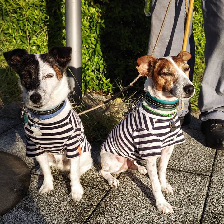 A00687da e7c1 4484 b8b6 d34926b15fdd 1727300738963