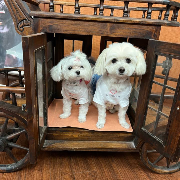 A00734f8 a085 48c1 83e2 b9c6de22e231 1725623170914