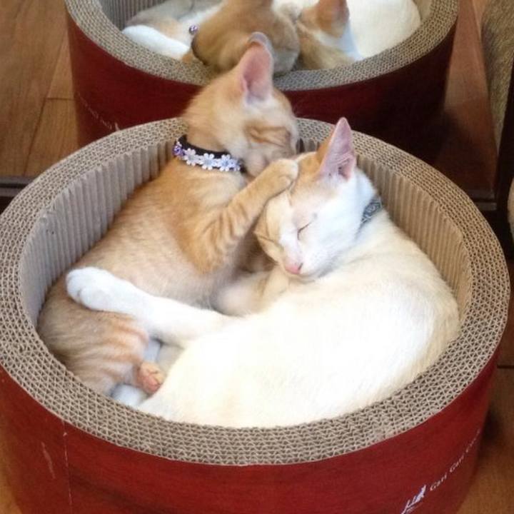 A00759ae 4126 48b7 bf8f 7219843c79fb 1601349569198