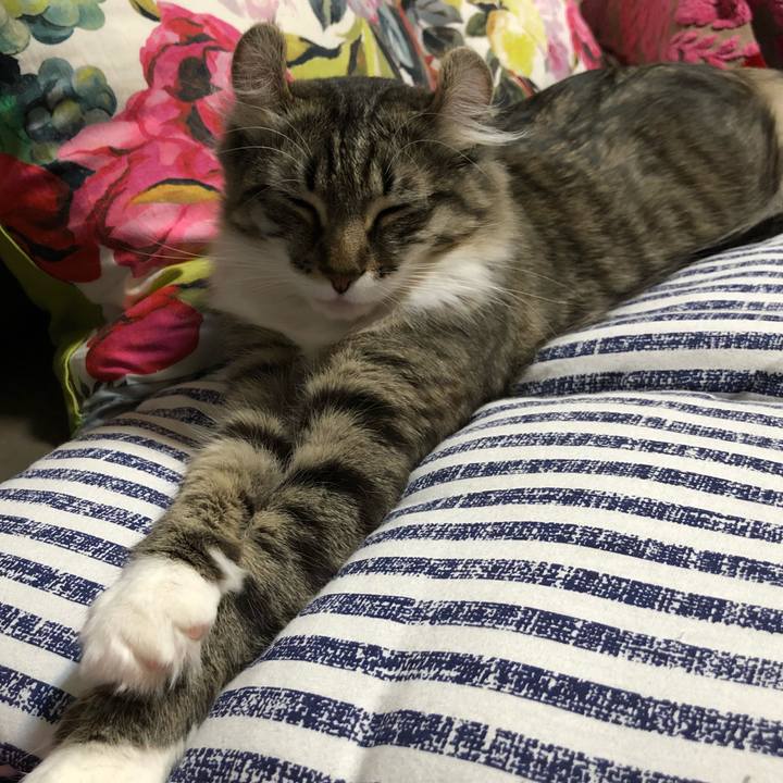 A007631d 6709 4152 a5ef 7dac7719c933 1521293614746