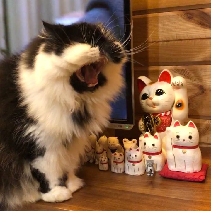 A0079227 a942 4347 8515 98ac5f5e7afc 1577628724703