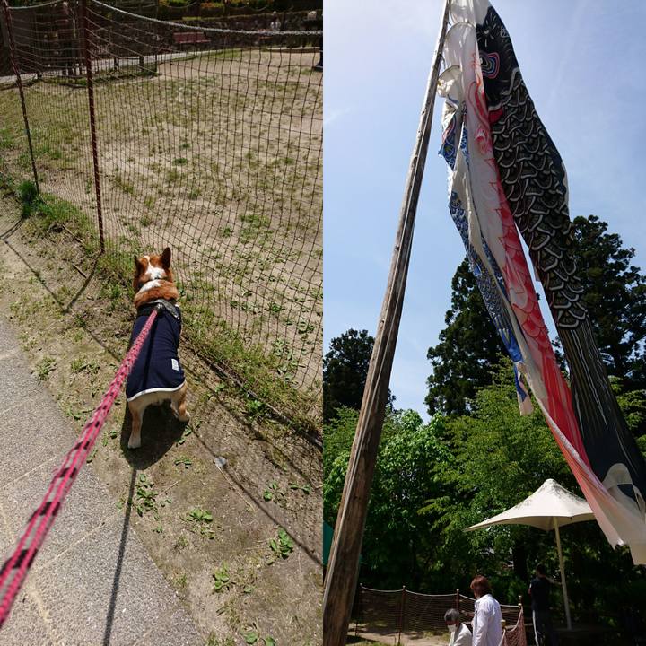 A007abe6 f82c 40d4 8118 741bd199379c 1620099736867