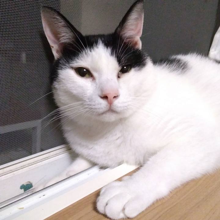 A007b5dd 873d 4aca b609 9a7fbd23e1ae 1535977166009