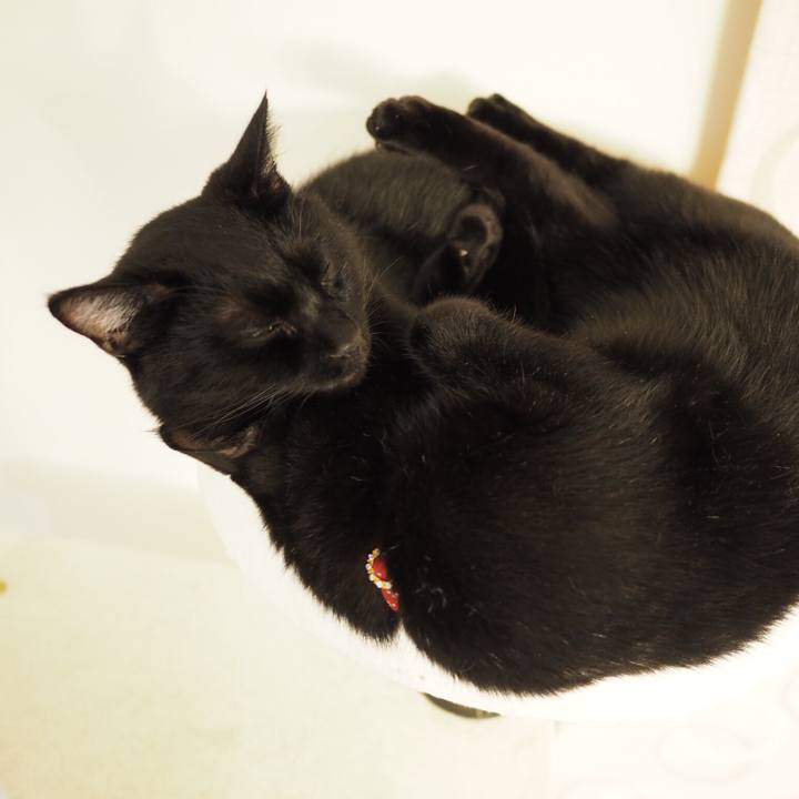 A007f052 1014 45a5 8b7a 6f7a6ed1c62f 1534258095812