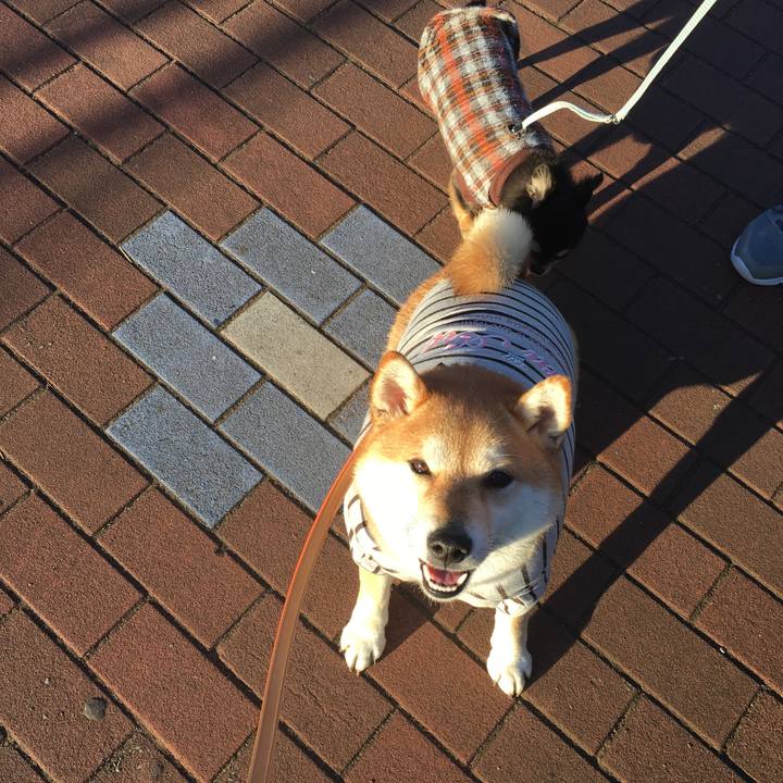 A008546e 3c46 46f0 9a63 b370a93cb709 1517991538518