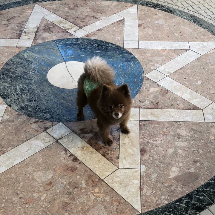 A00855e0 1e9d 4ca3 8029 6b536bf9b9c3 1541296132363