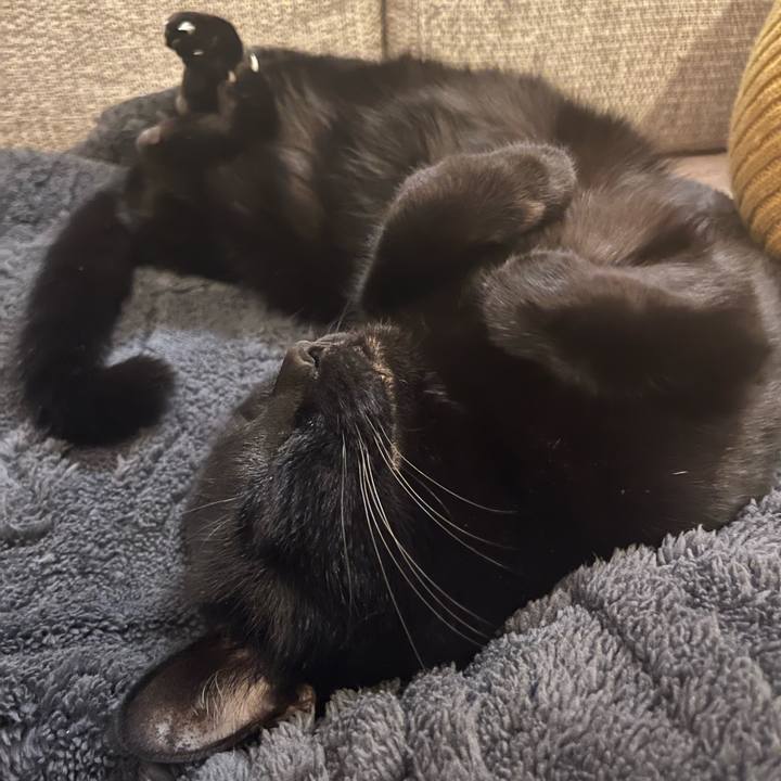 A0085c96 303a 4209 a147 a69d1d1ef8e2 1766319362196