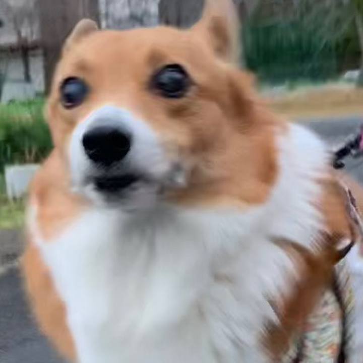 A0086889 3ebe 47ee 89a6 de2fd59ad7d2 1670329155372