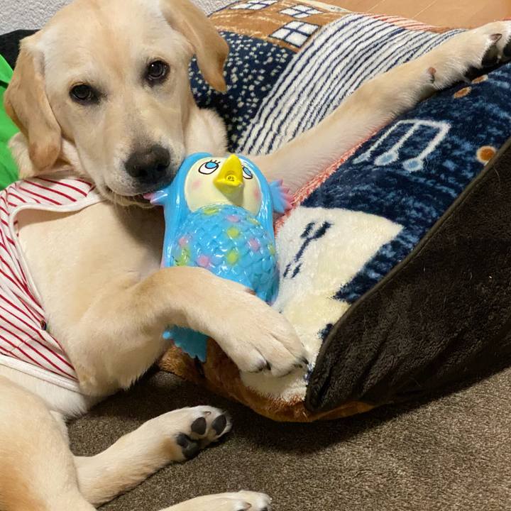 A008a673 8cd4 422e bb7e 8c57c1b96ceb 1619957838369