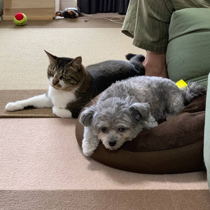 A008bb02 cd56 49fa 9c65 c588e00fc266 1567238976069