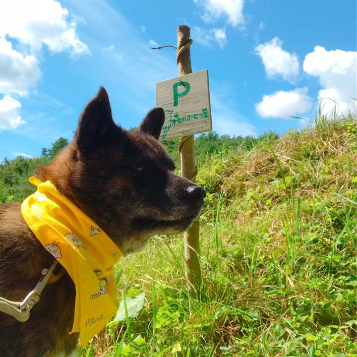 A008d549 c9cd 46fc bc7d a3024267dd4a 1568283903368