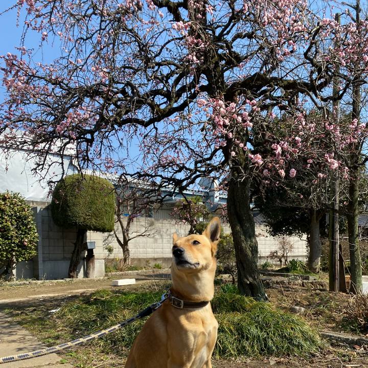 A008e16d b02a 4aa2 ab74 a2784f7bf300 1647058016130