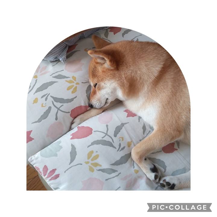 A00906f0 2c33 4ee0 82d2 25f251d80a90 1694045558088