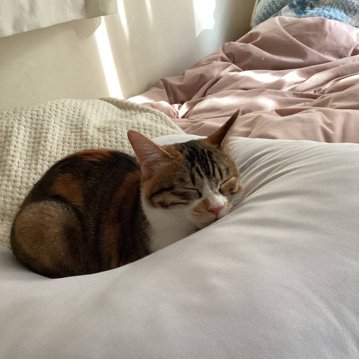 A0096758 957a 487c 9571 fabb74b799b9 1645435822699