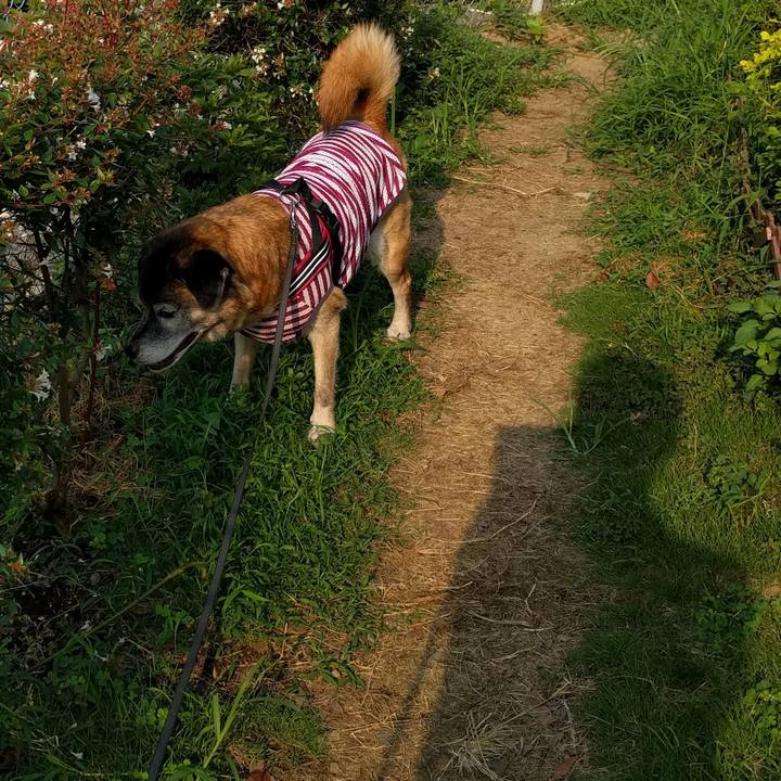 A00968b3 d7e8 4539 bb18 de5a03cf529f 1533252469451