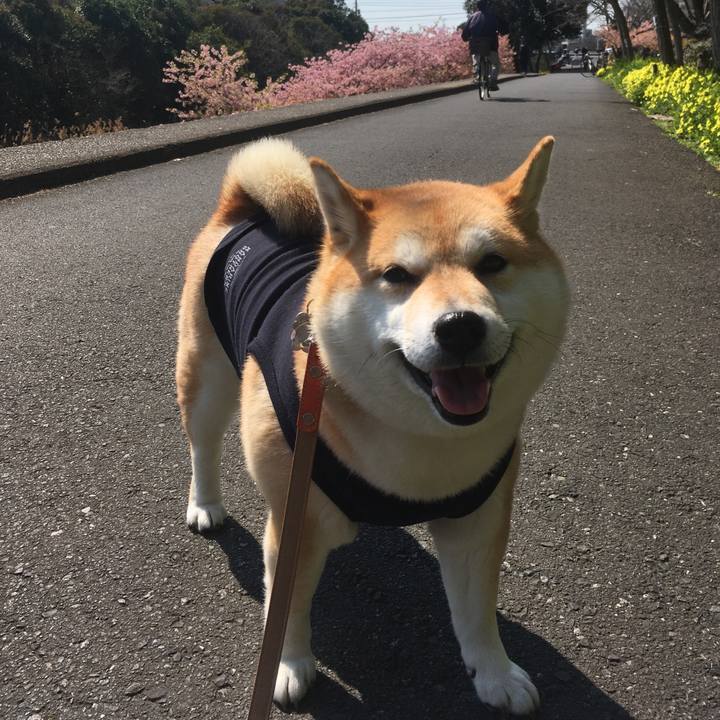 A0098888 b1c6 458c 897b e2af1ecb04c6 1552626442494