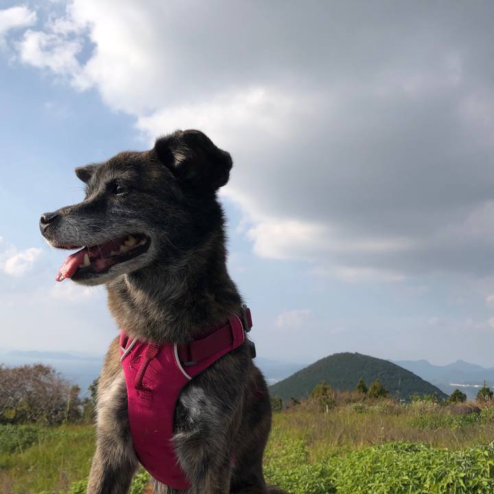 A0099e88 f39f 4f79 90c1 4c21e4e9ae53 1640304218461