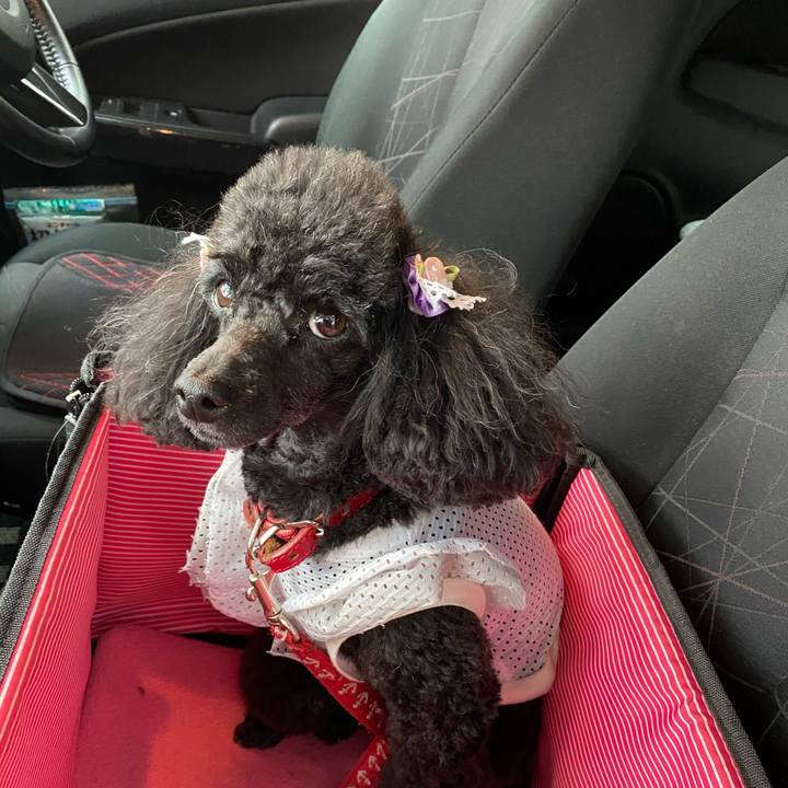 A009dc32 08e5 4871 bc62 5293f53a61be 1617098600963