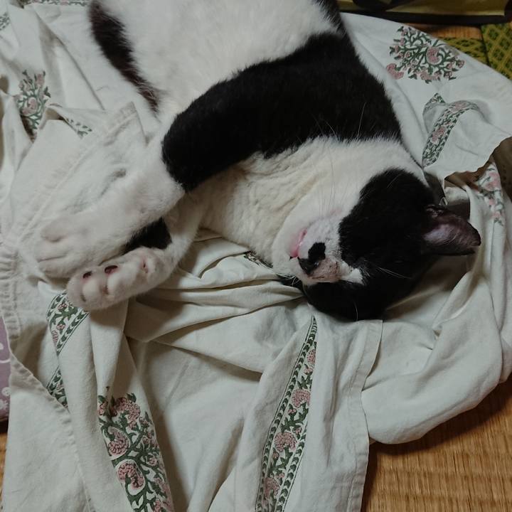 A009f60b a81d 4cfe 8102 07be5f1c17e1 1537094817406