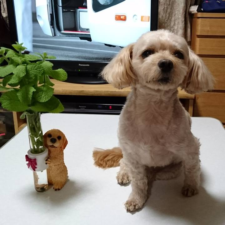 A00a2a69 acd0 41d7 8cd6 d541636487bc 1601551868666