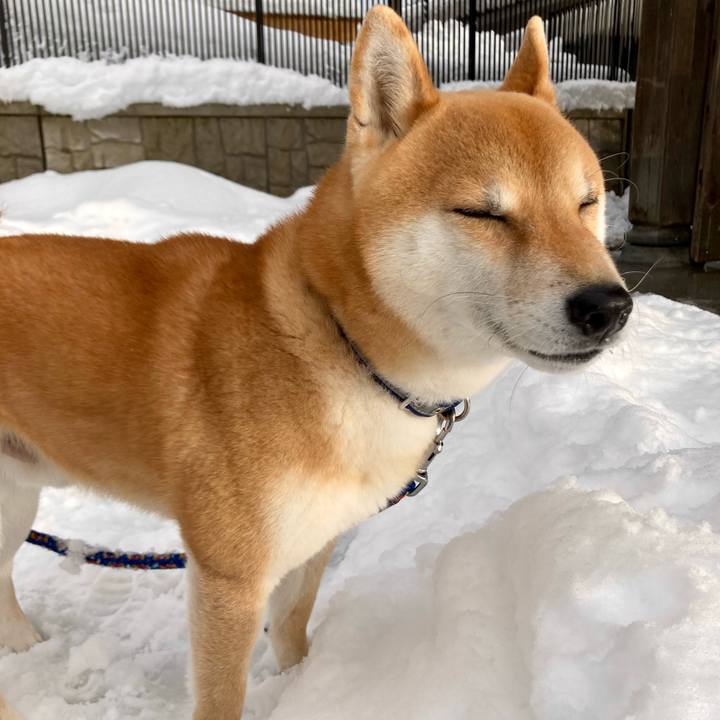 A00a31ee 80ea 49c7 aab4 a60b7fc81d66 1674899759679