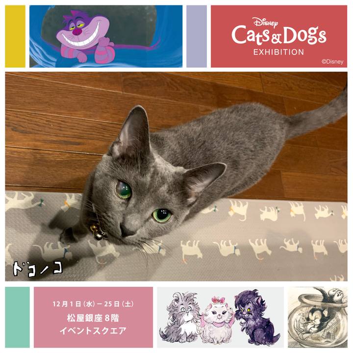 A00a5df9 7f10 4ba0 a5ae 43f6b478d6c3 1638331803171