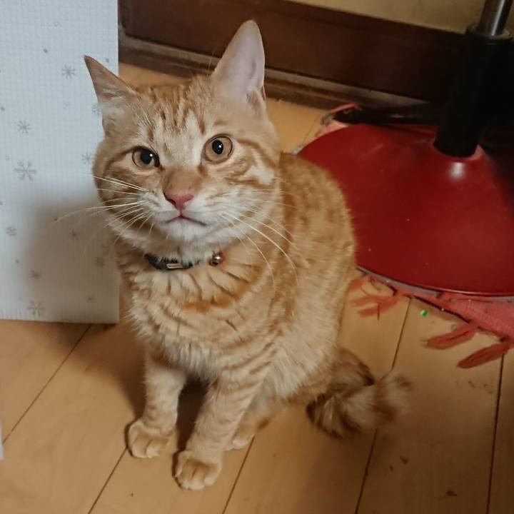 A00a7086 6001 4657 b8c0 ae323206a409 1645960242113