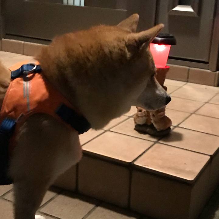 A00a834f affd 4b53 96e0 2e67f1ee7215 1511241662166